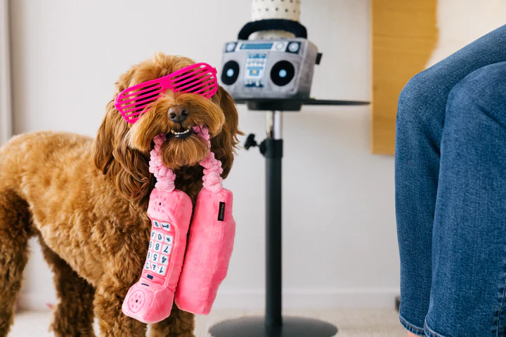 80s Classics Paw Talk - Image 5