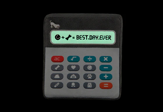 Back to School Collection - Image 6