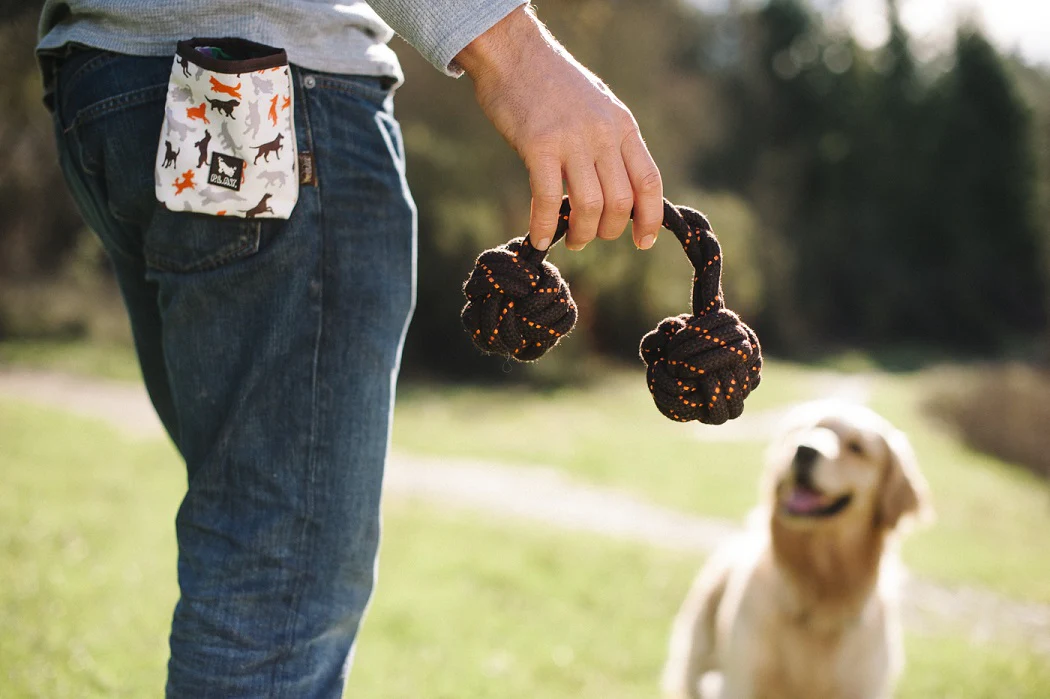 Barbell Rope Toy - Image 4
