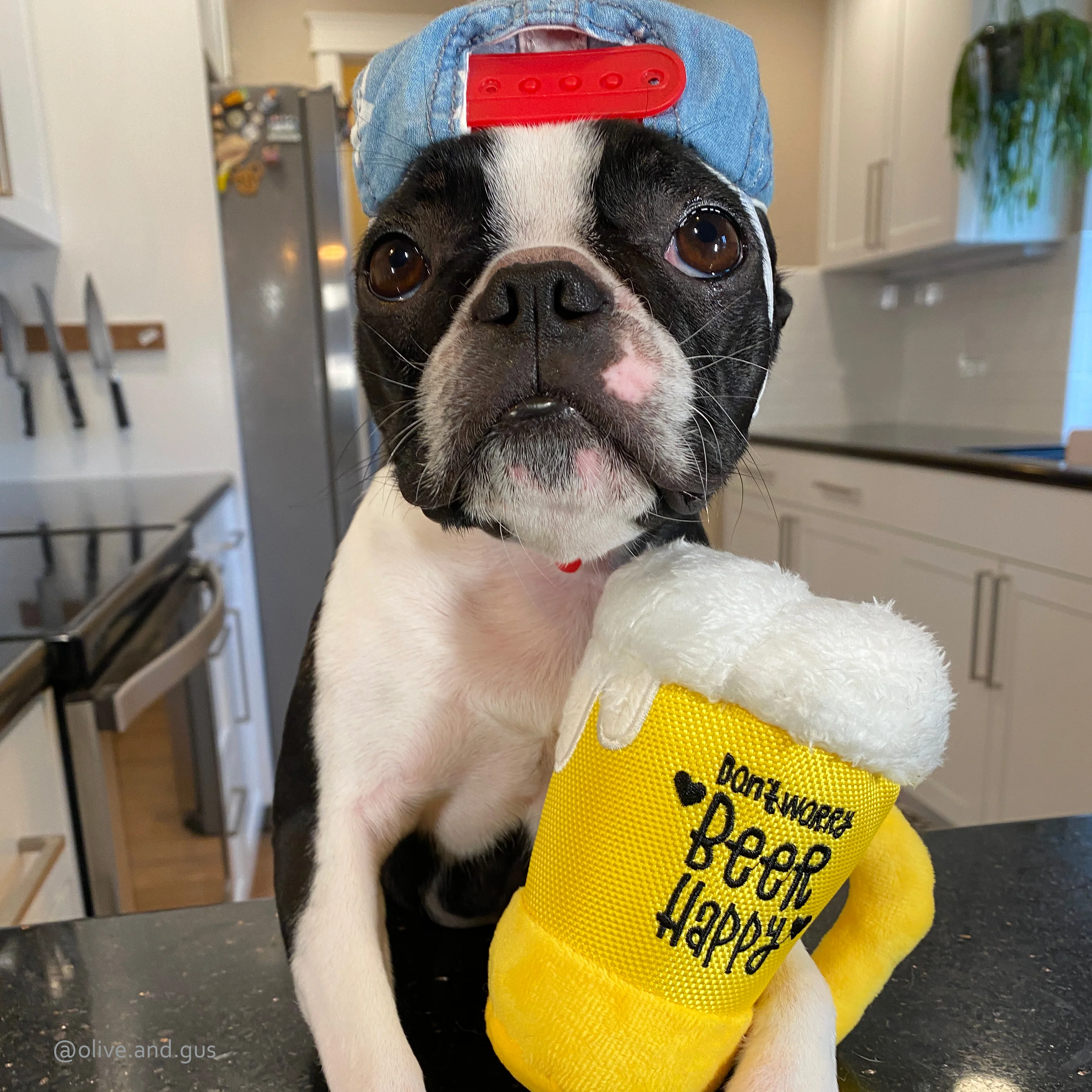Clive & Bacon x P.L.A.Y. Barking Beer - Image 3
