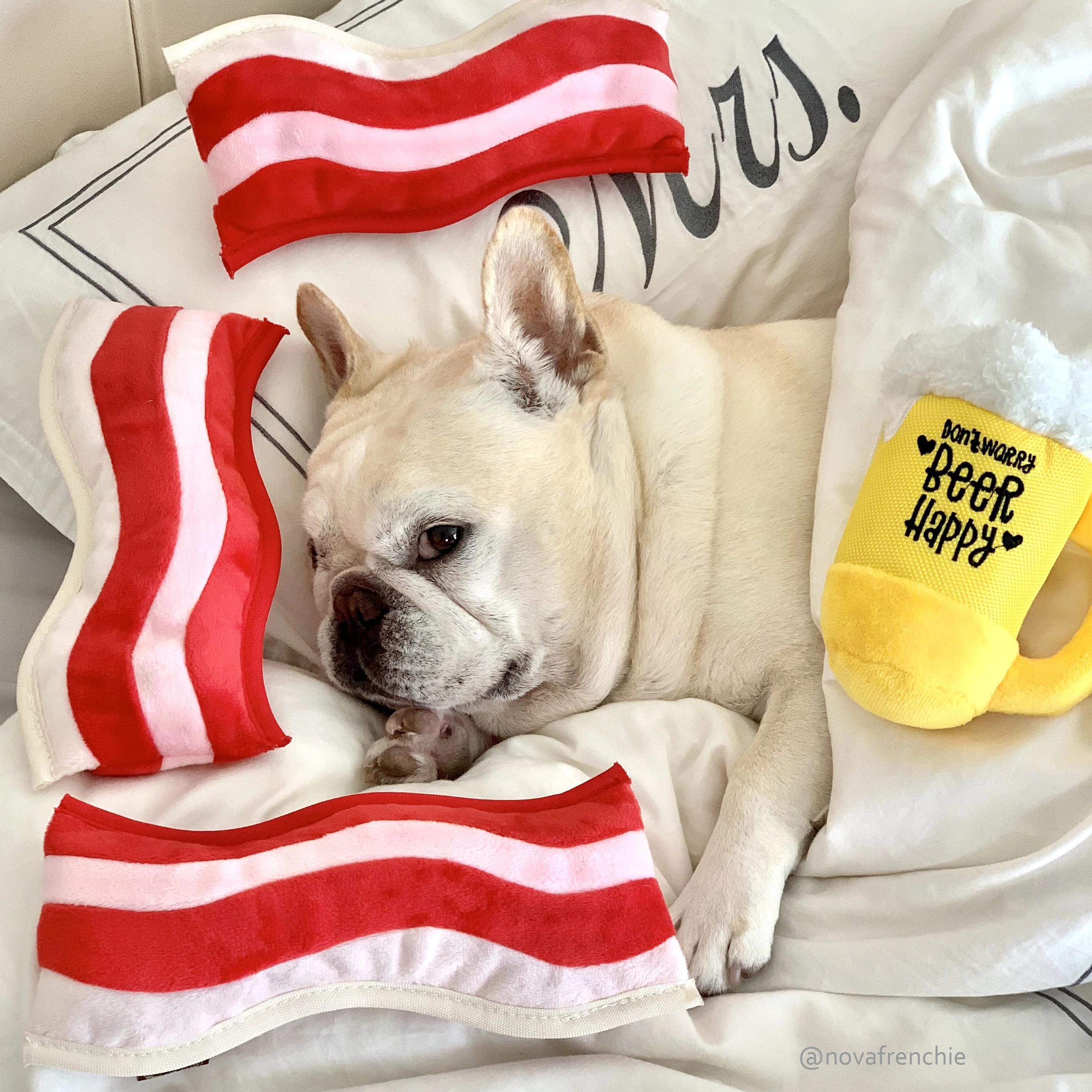 Clive & Bacon x P.L.A.Y. Barking Beer - Image 4