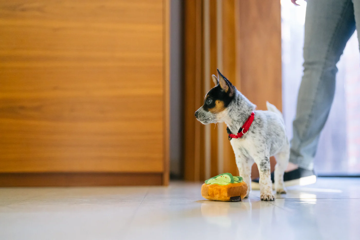 Barking Brunch Avo-doggo Toast - Image 4