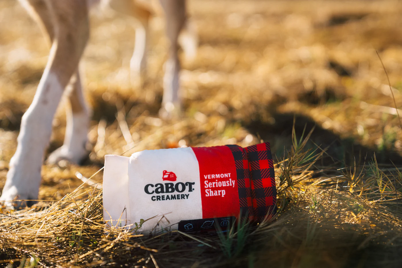 Cabot Creamery x Play Seriously Sharp Squeaker - Image 5
