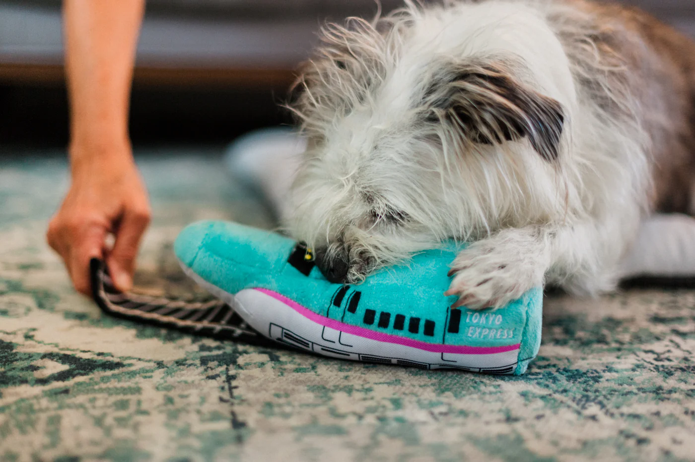 Canine Commute Collection - Image 16
