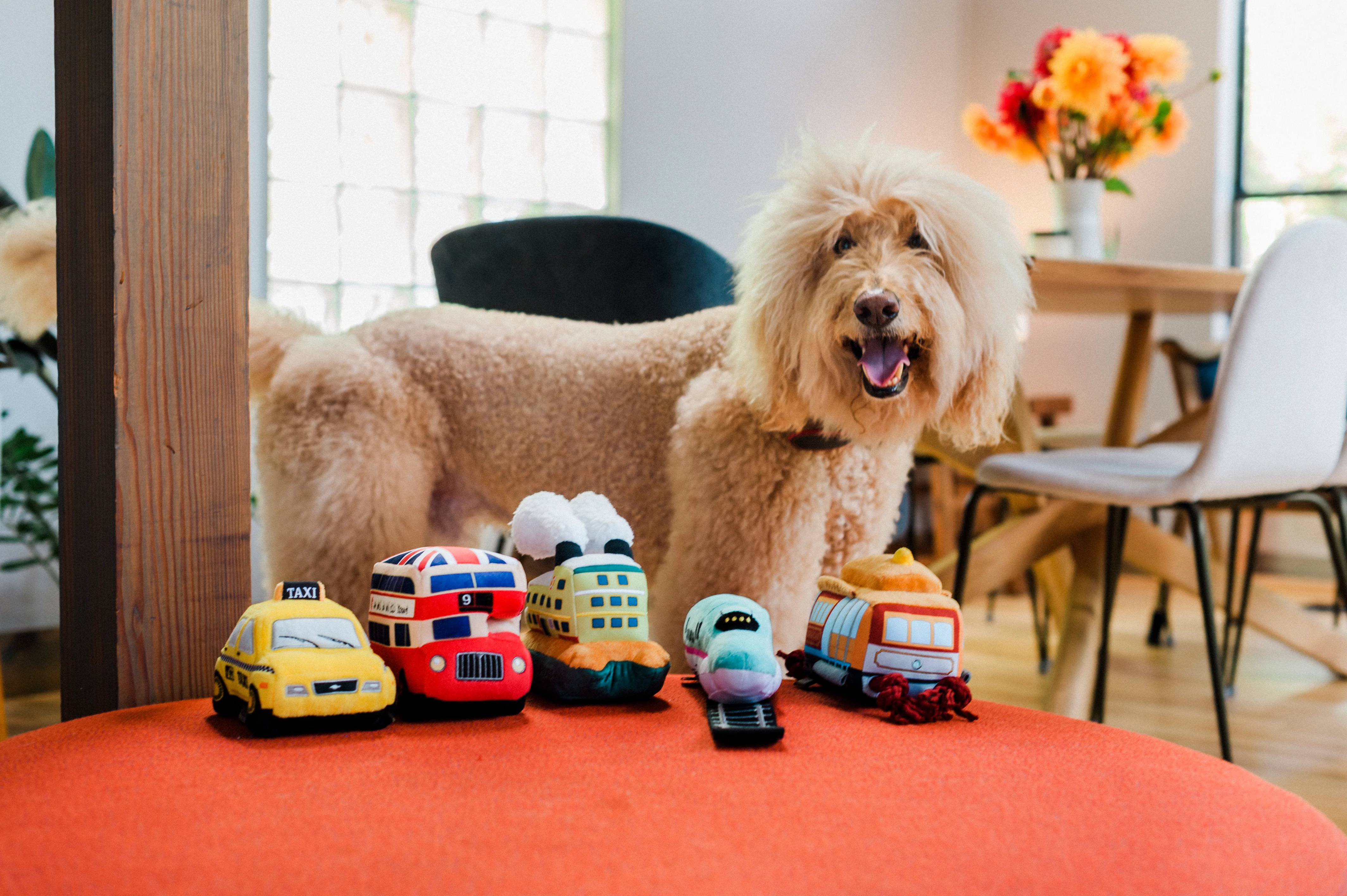 Canine Commute Collection - Image 2