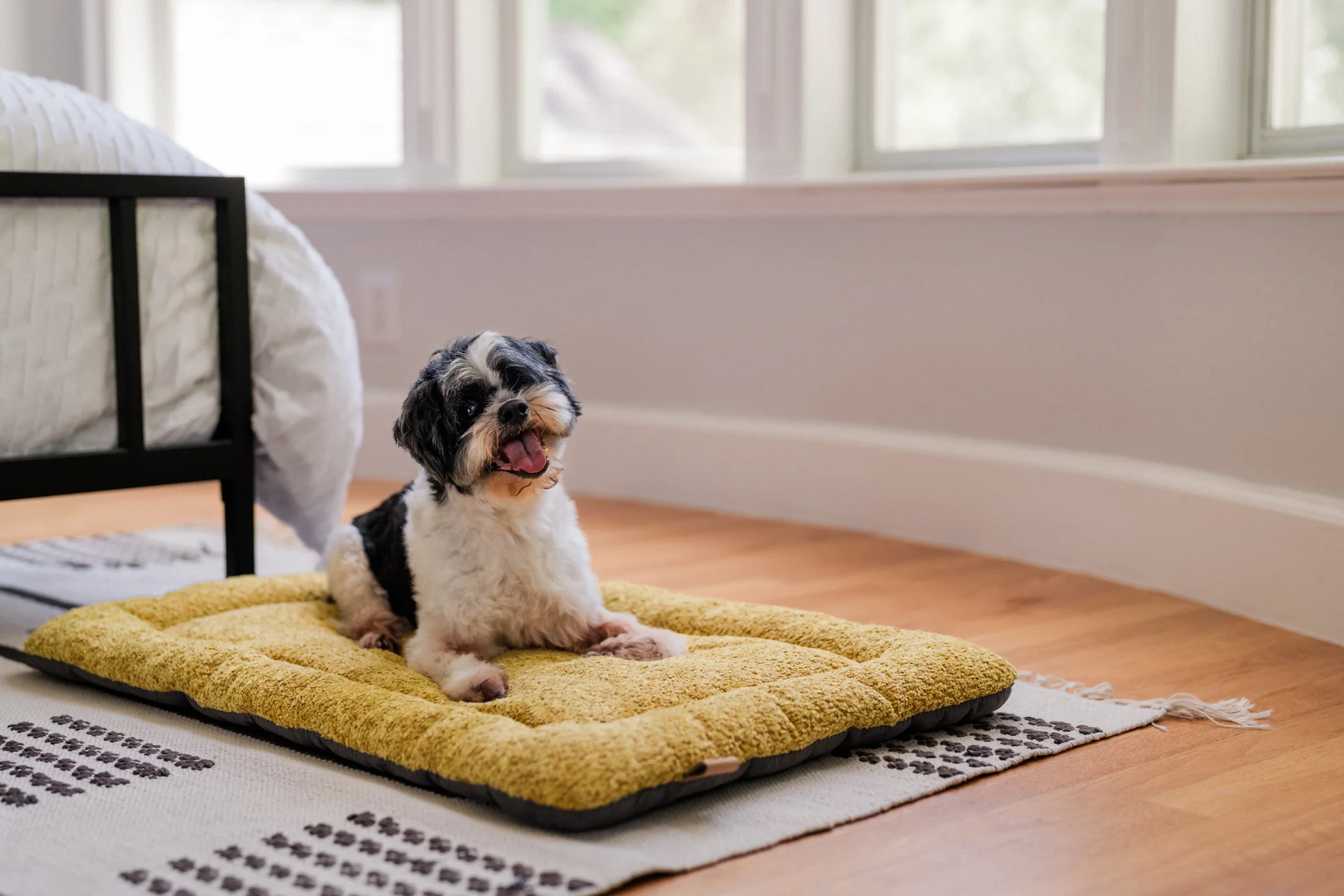Canyon Series Chill Pad - Image 10