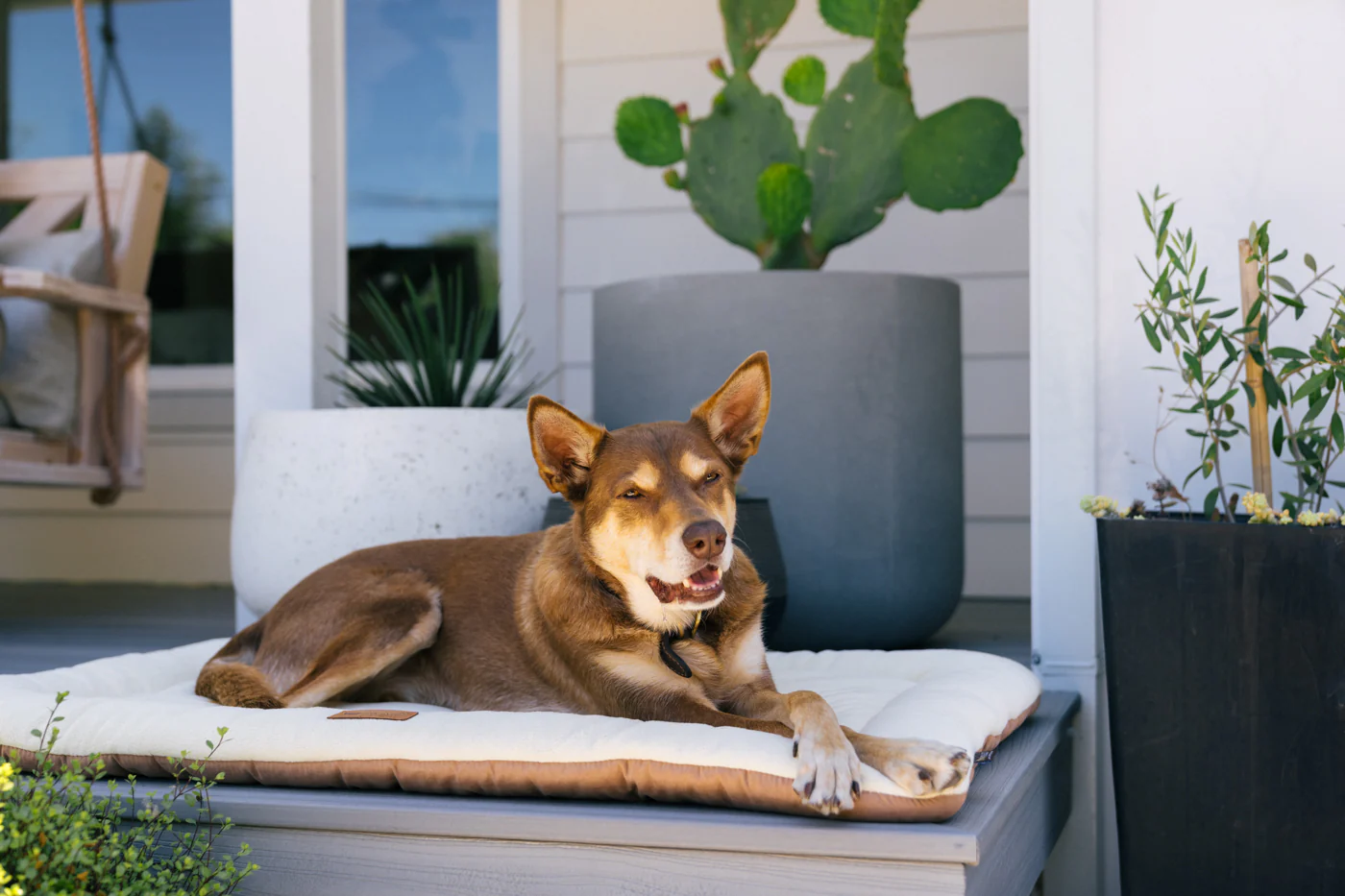 Original Chill Pad - Image 4
