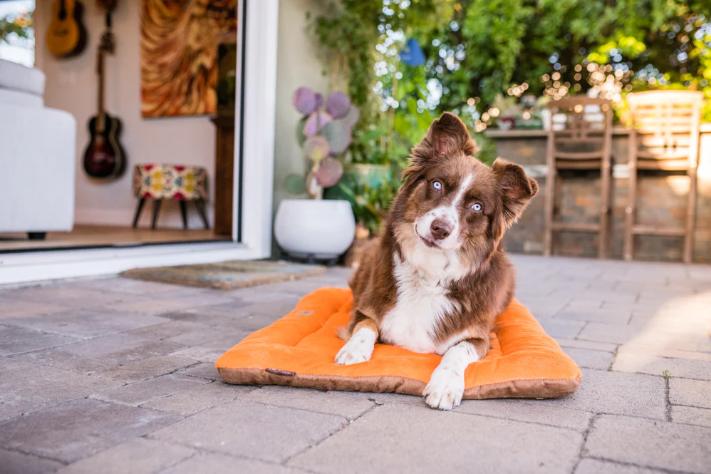 Original Chill Pad - Image 6