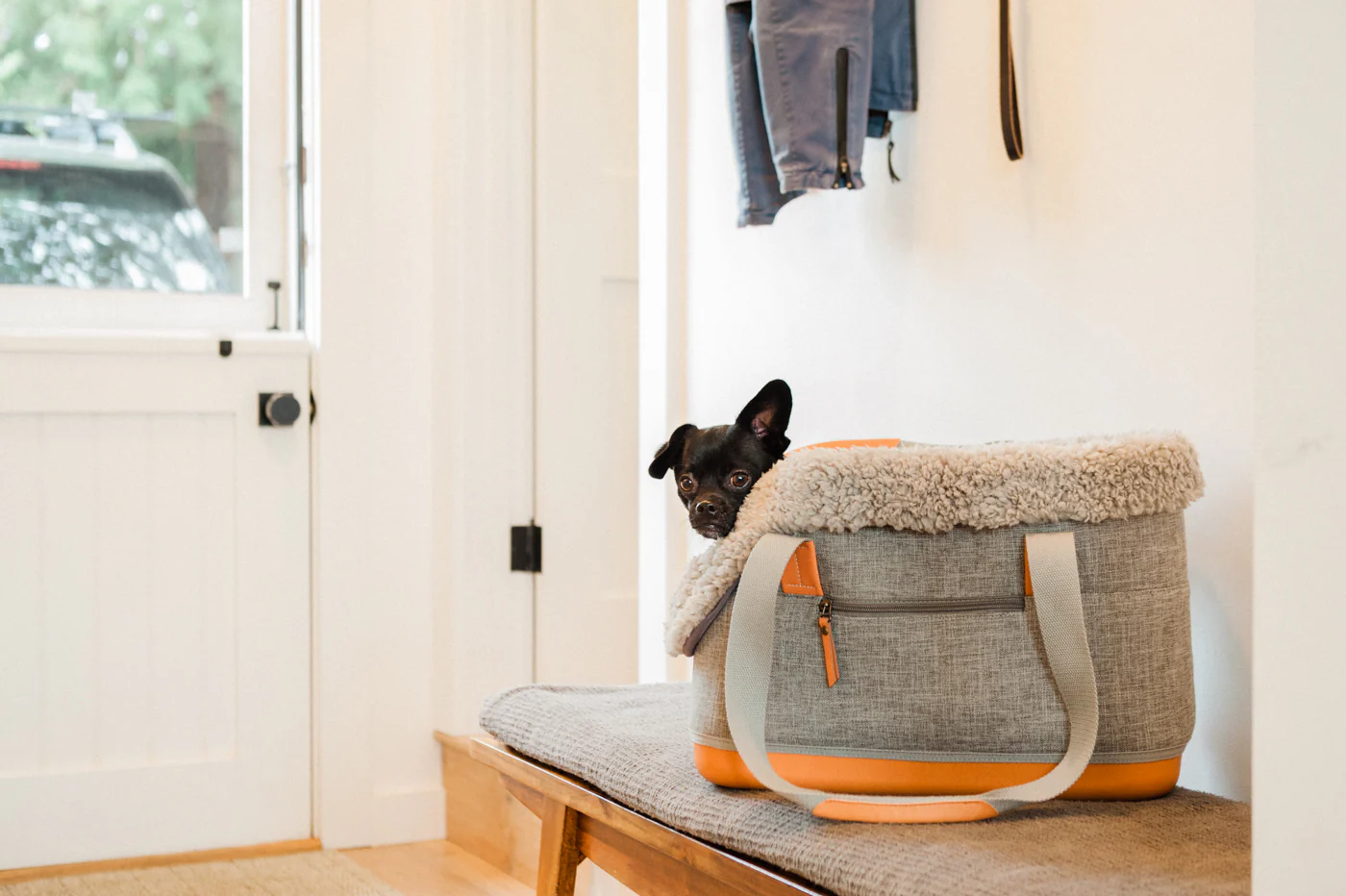 LeftPine x P.L.A.Y. Deluxe Dog Carrier - Image 4