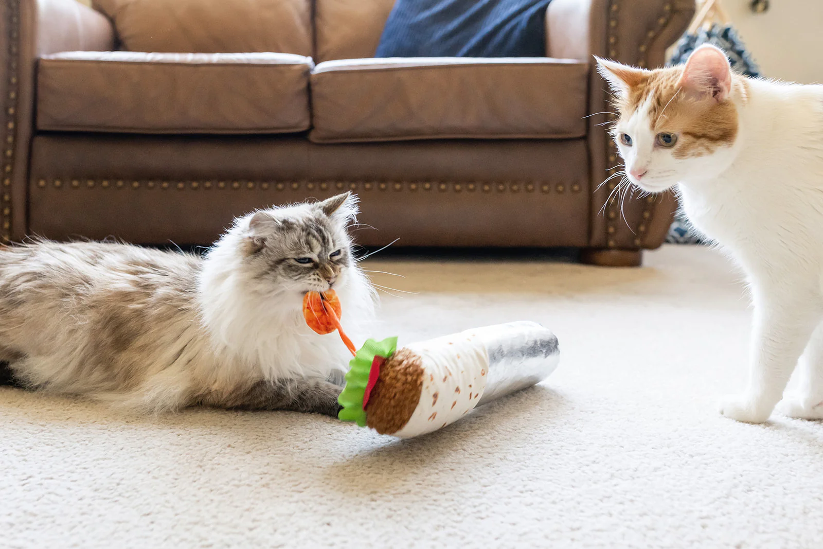 Feline Frenzy Shrimp Purrito Kicker Toy - Image 4
