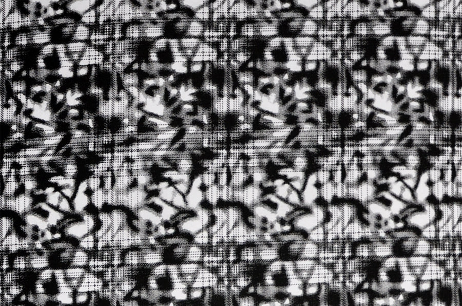 Frolic - Image 2