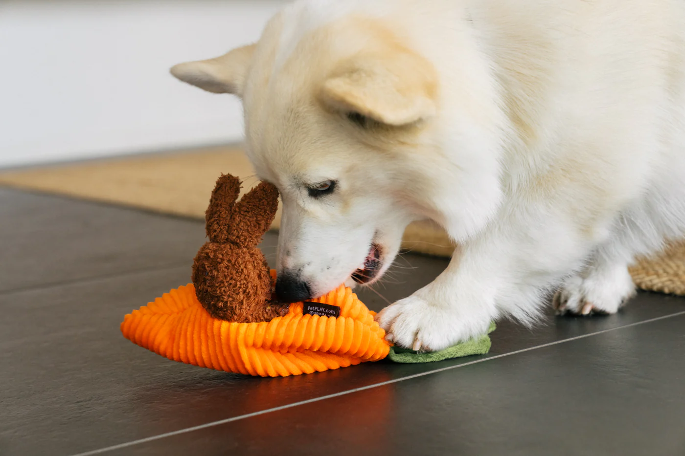 Hippity Hoppity Collection - Image 13