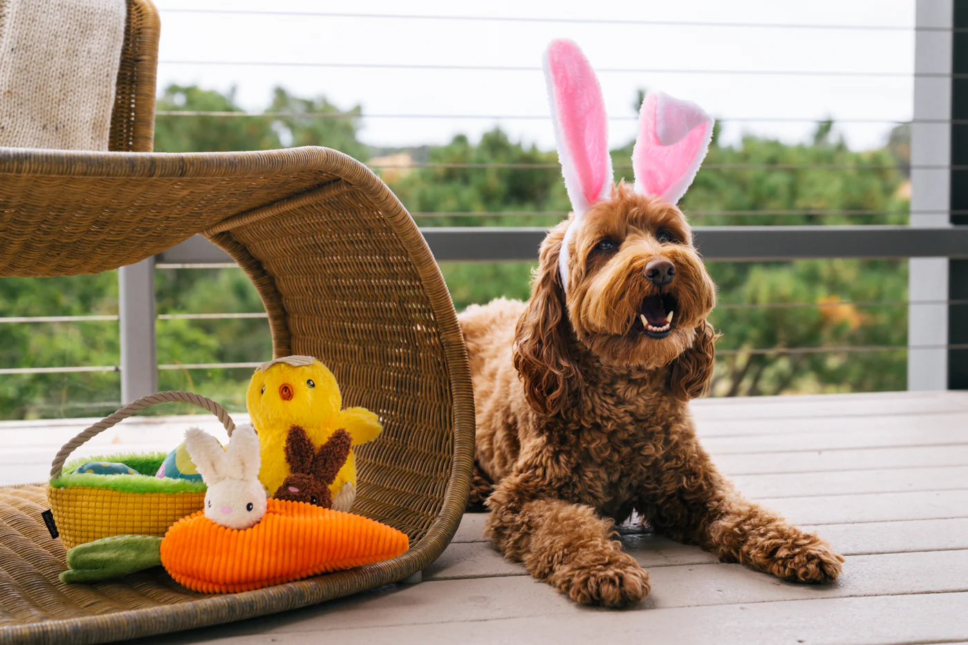 Hippity Hoppity Collection - Image 2