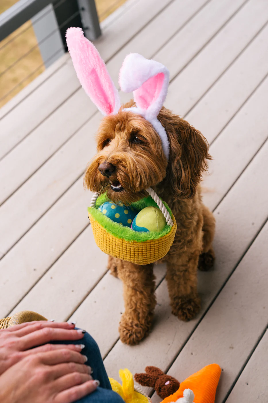 Hippity Hoppity Eggs-cellent Basket - Image 3
