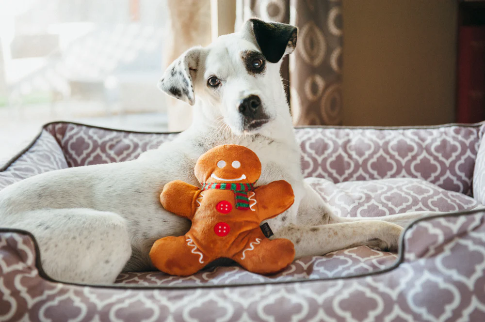 Holiday Classic Holly Jolly Gingerbread Man - Image 4