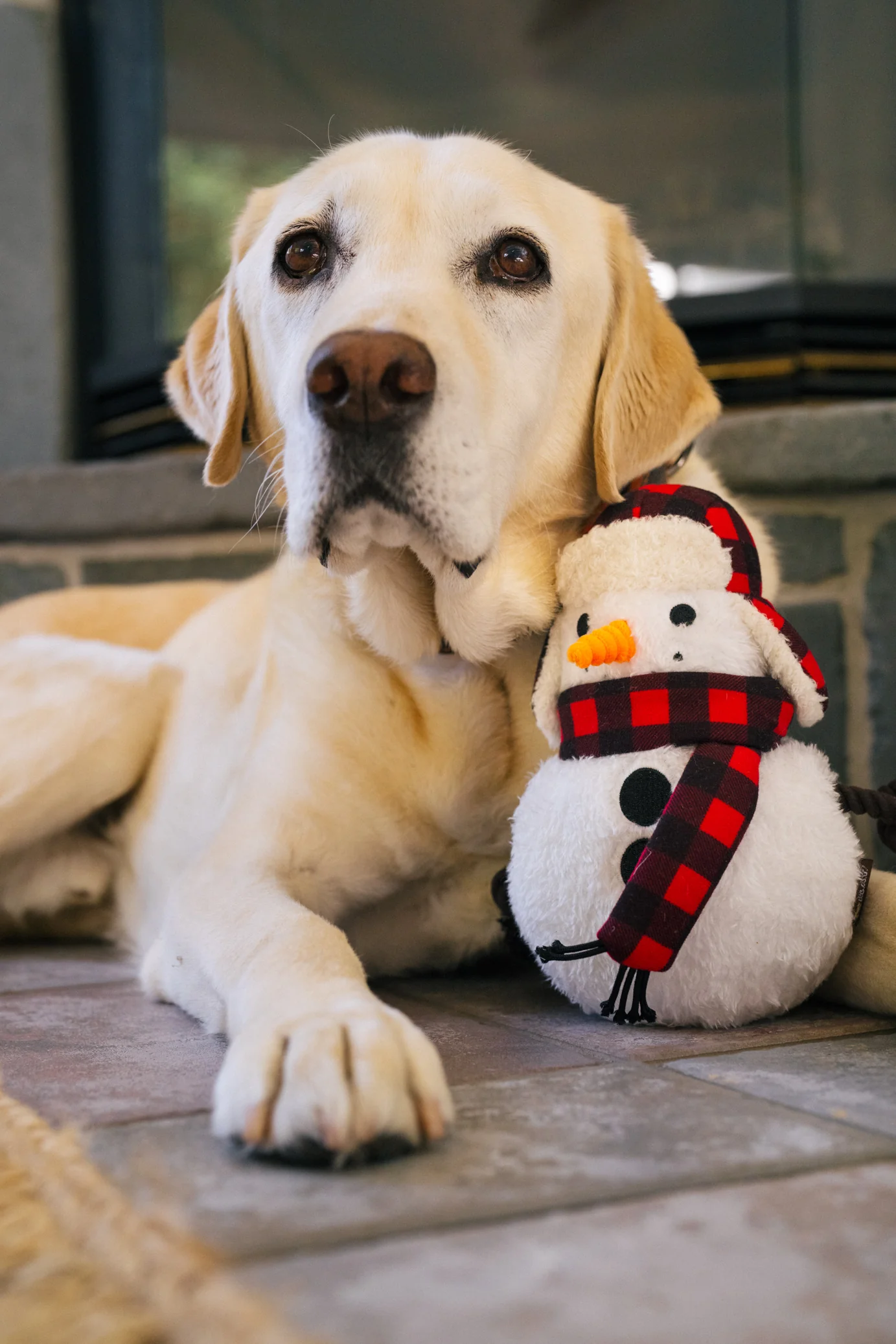 Home for the Holidays Blizzard Buddy - Image 5