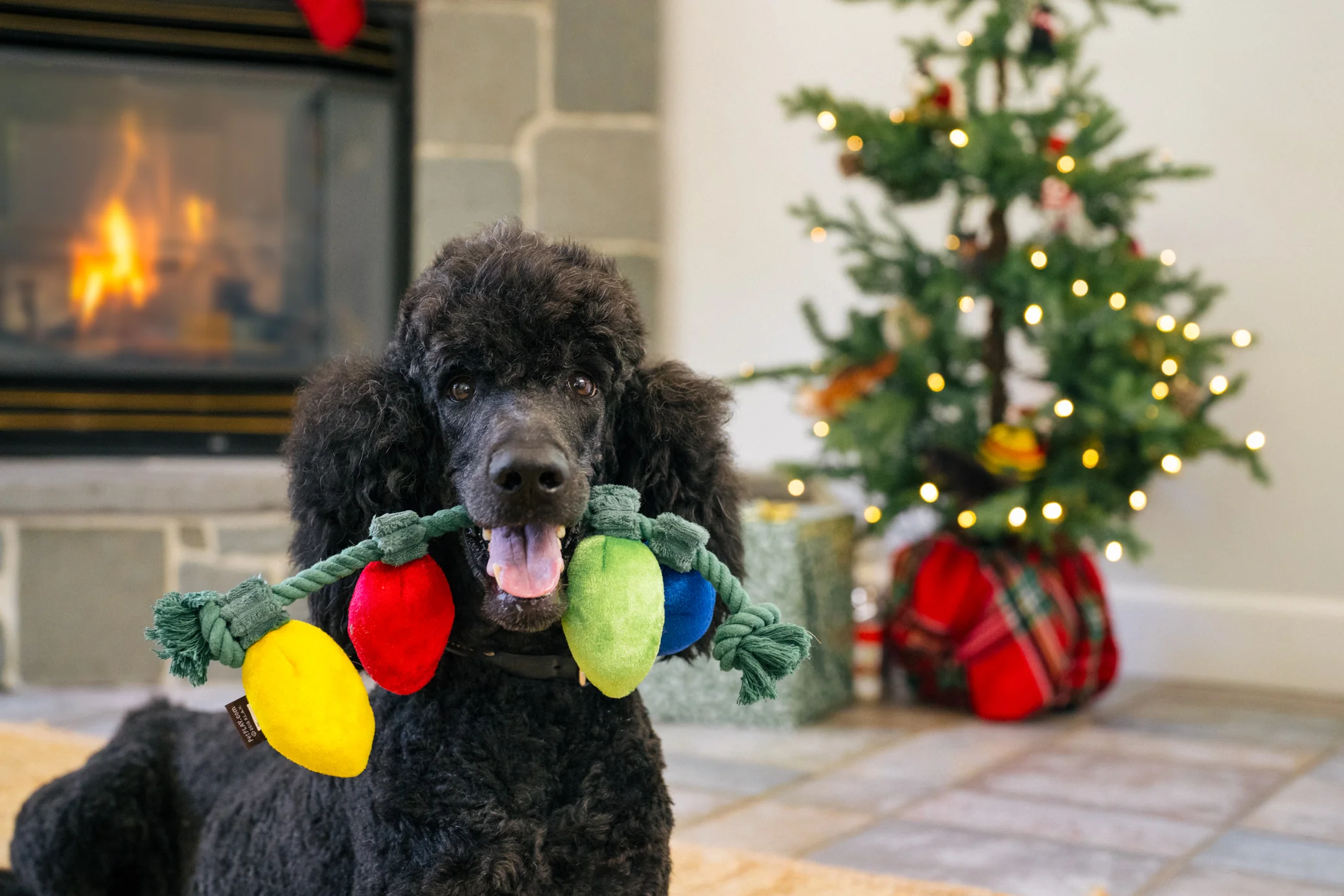 Home for the Holidays Collection - Image 7