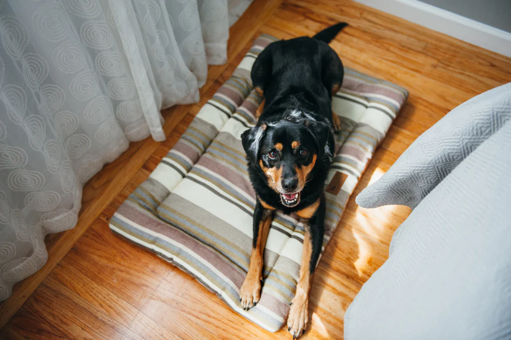 Horizon Chill Pad - Image 7