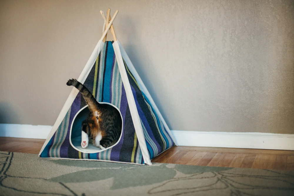 Horizon Cozy Cove - Image 10