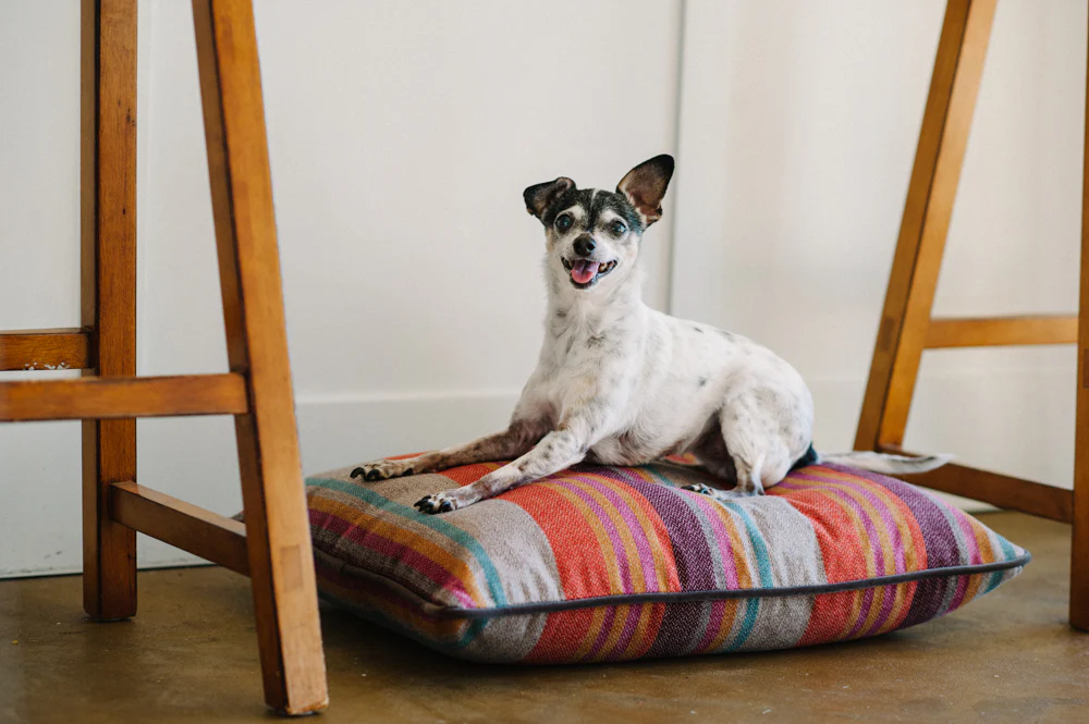 Horizon Pillow Bed - Image 3