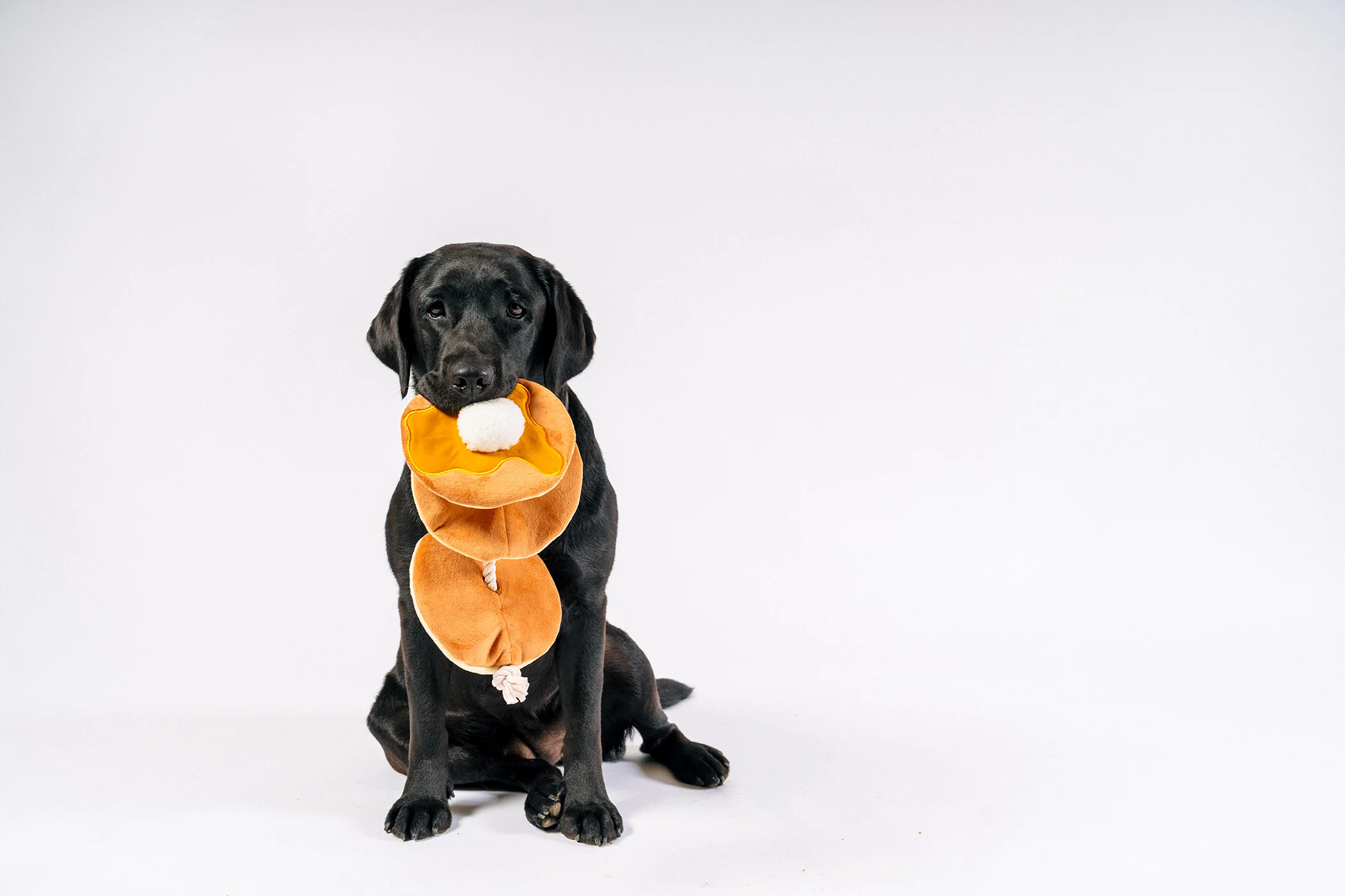 IHOP x P.L.A.Y. Pancake Pup Stack - Image 3