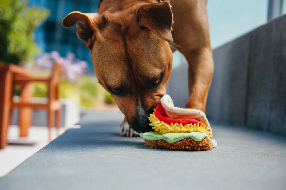 International Classic Tail Waggin' Taco - Image 5