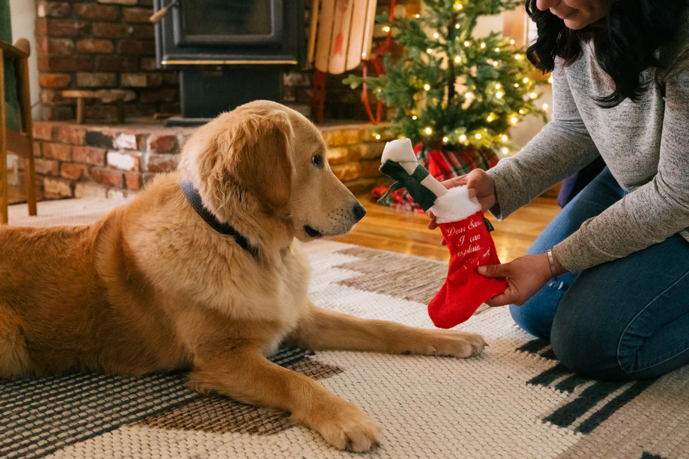 Merry Woofmas Good Dog Stocking - Image 4