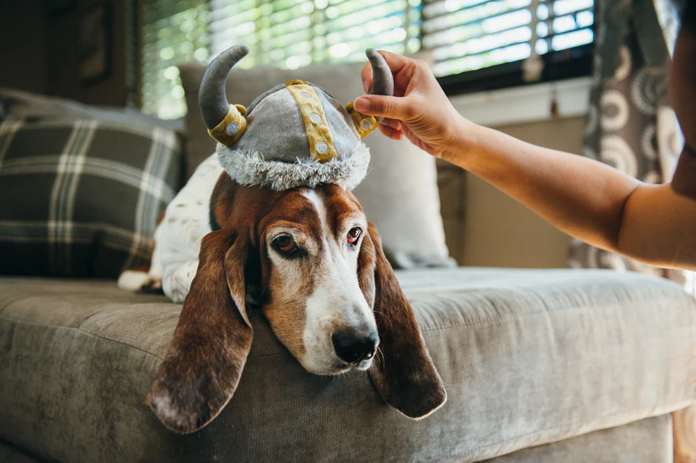 Mutt Hatter Collection - Image 12