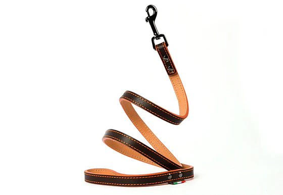 Napoli Leash - Image 4