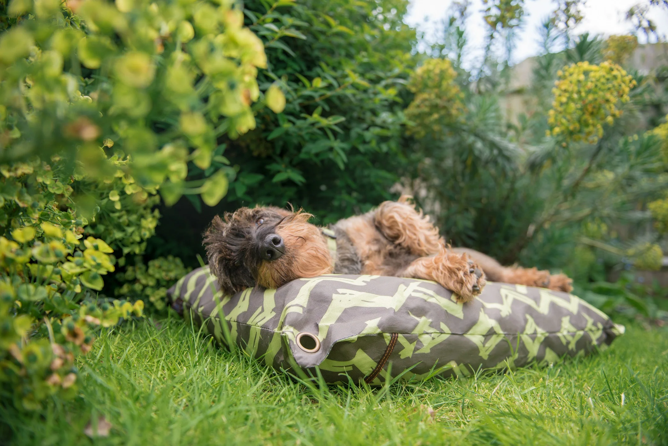 Outdoor Bed - Image 5