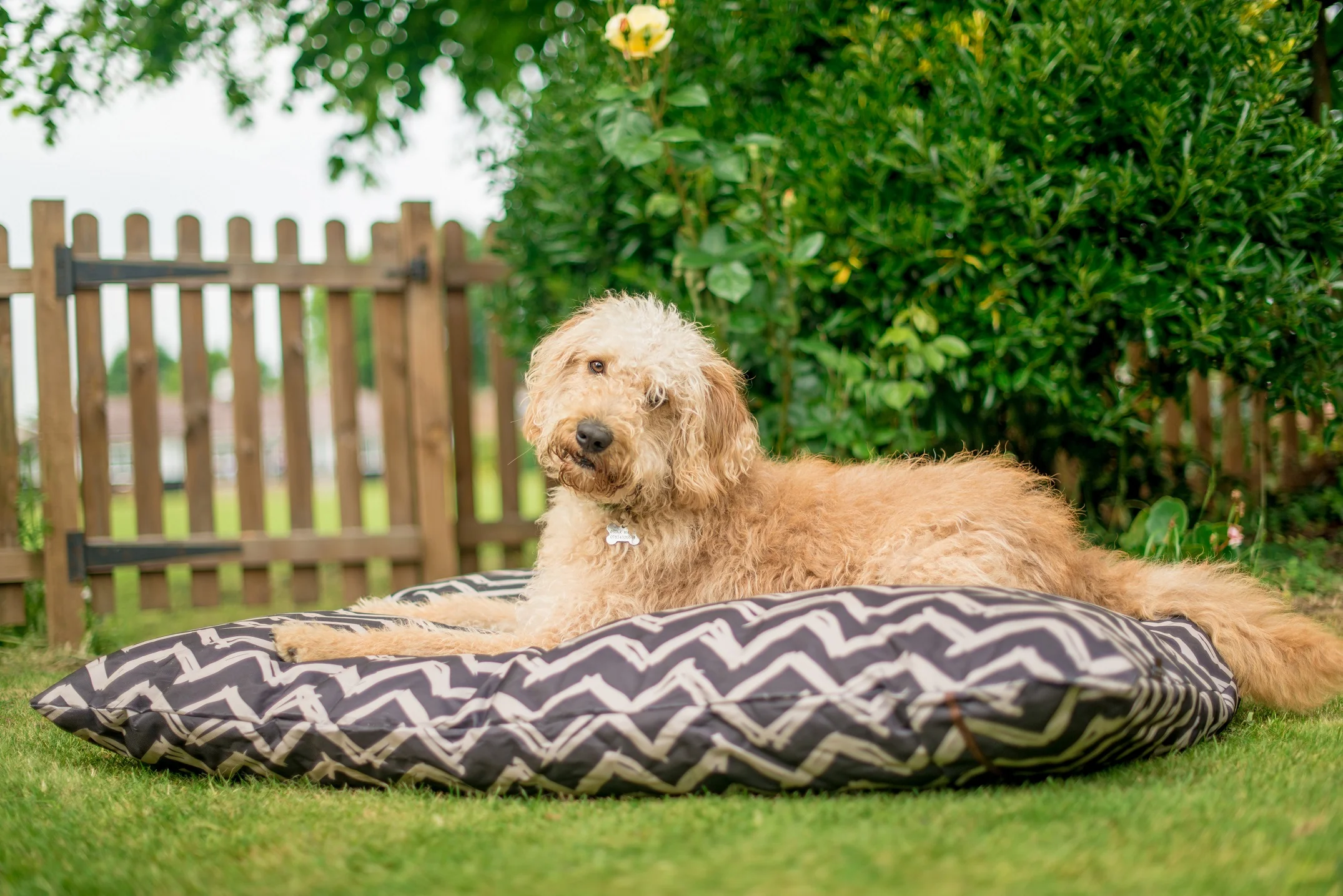 Outdoor Bed - Image 7