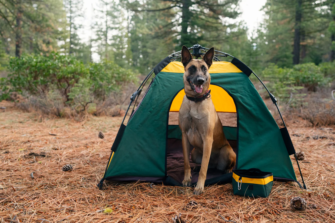 Outdoor Dog Tent - Image 18