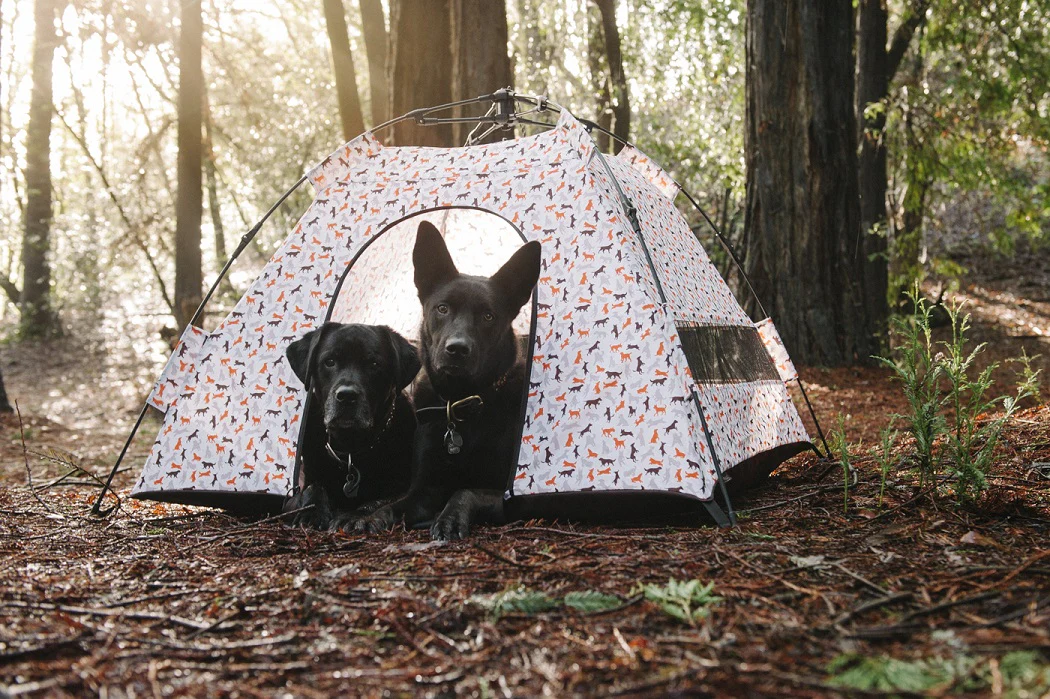 Outdoor Dog Tent - Image 9
