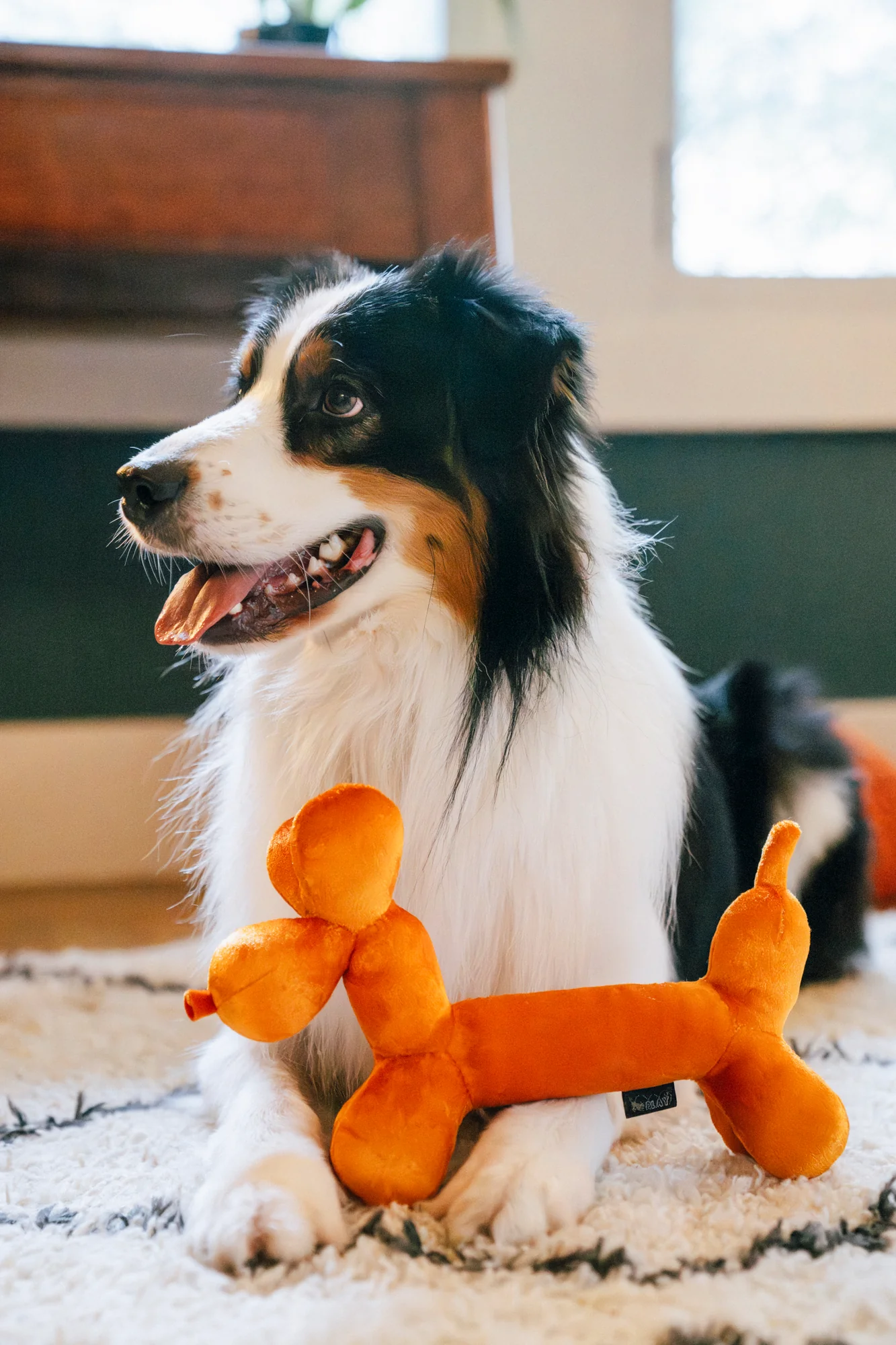 Party Animal Balloon Buddy - Image 4