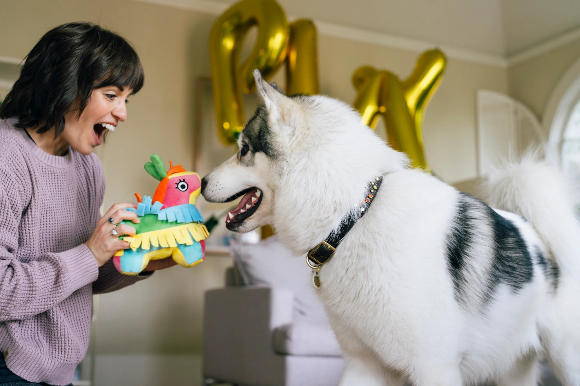 Party Animal Fiesta Fetch Pinata - Image 3
