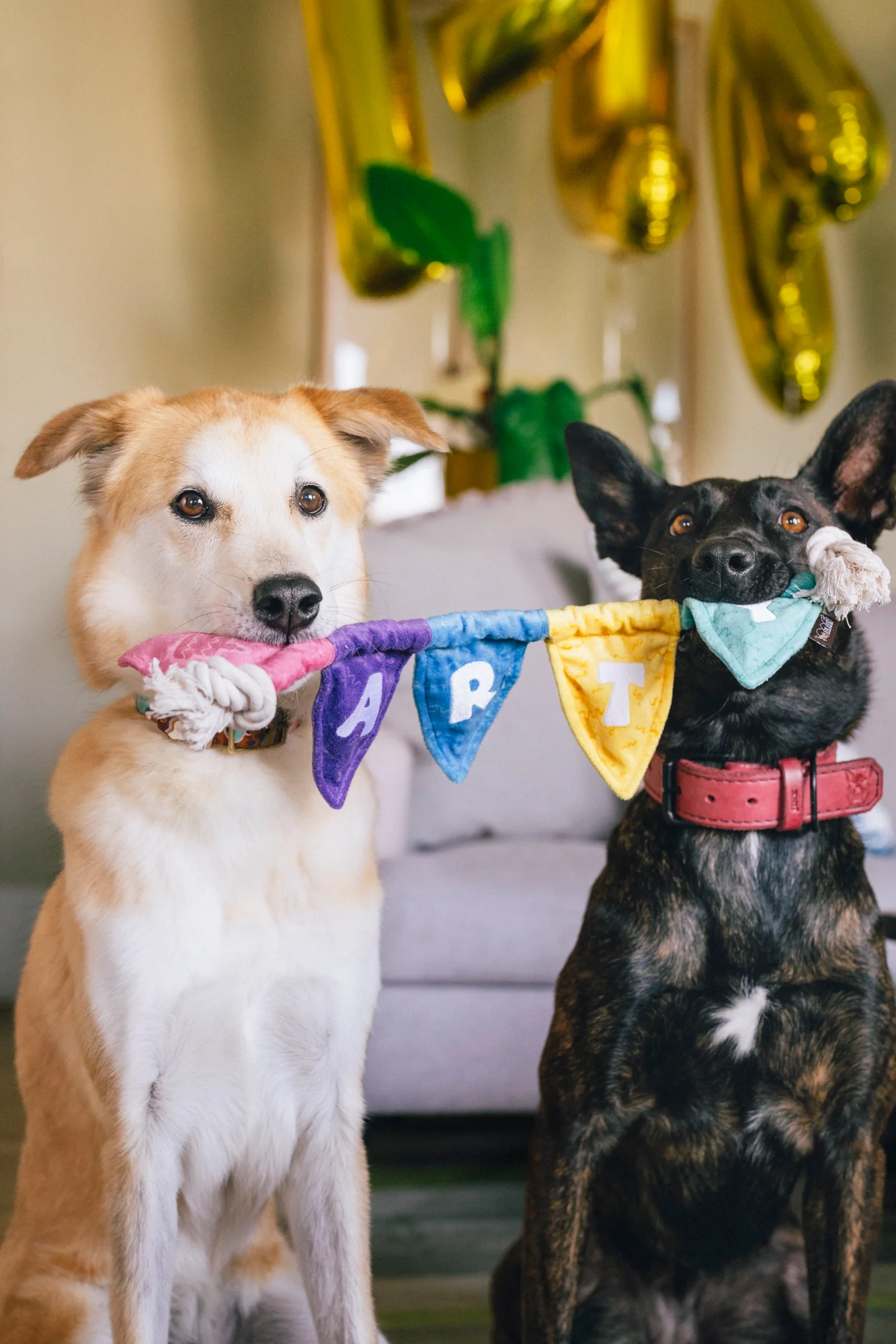 Party Animal Tug n’ Party Banner - Image 5