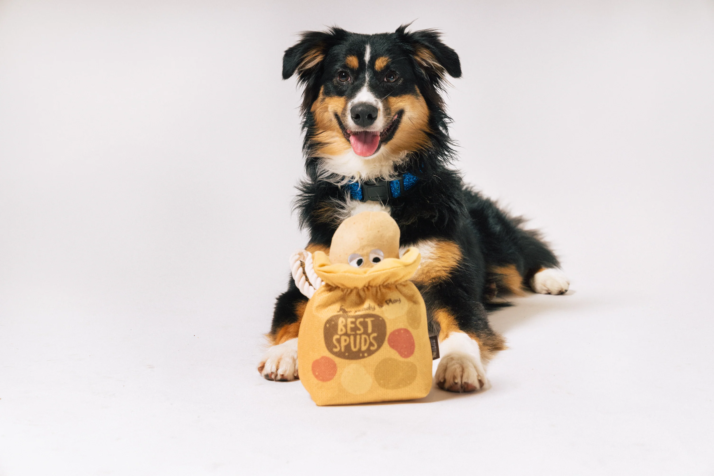 Picked Fresh Potato Pals - Image 2