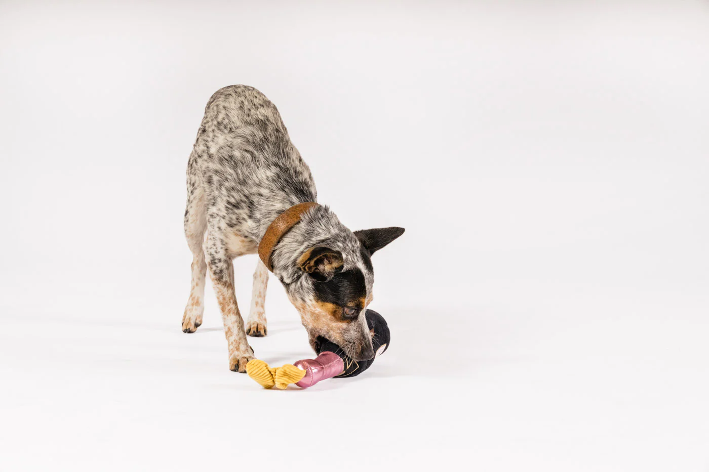 Puppin' Champagne - Image 4