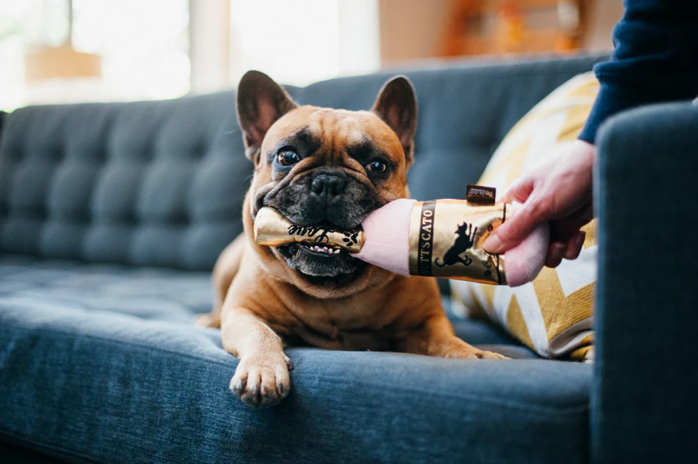 Puppy Love Barking Bubbly - Image 4