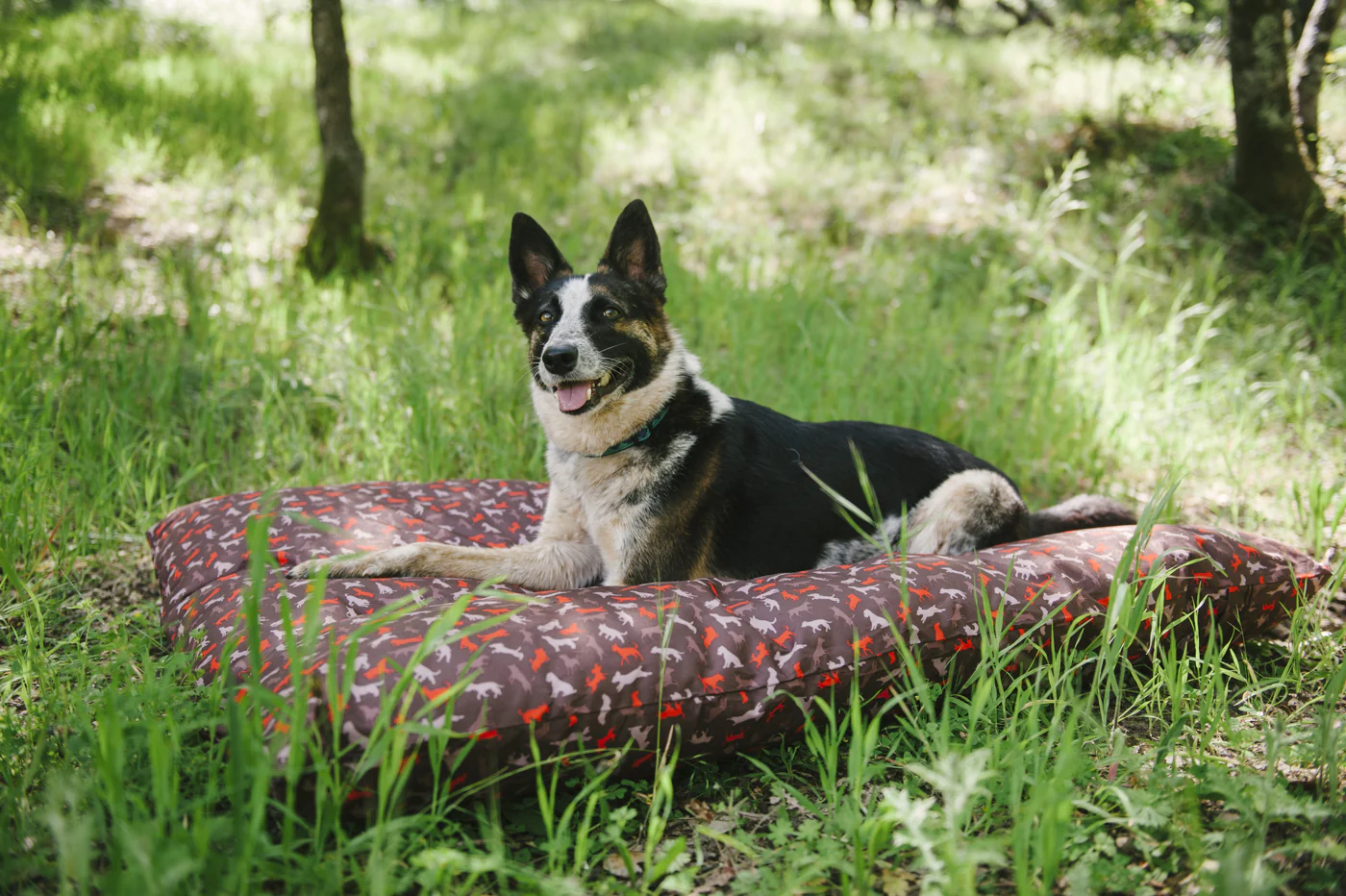 Scout & About Outdoor Bed - Image 4