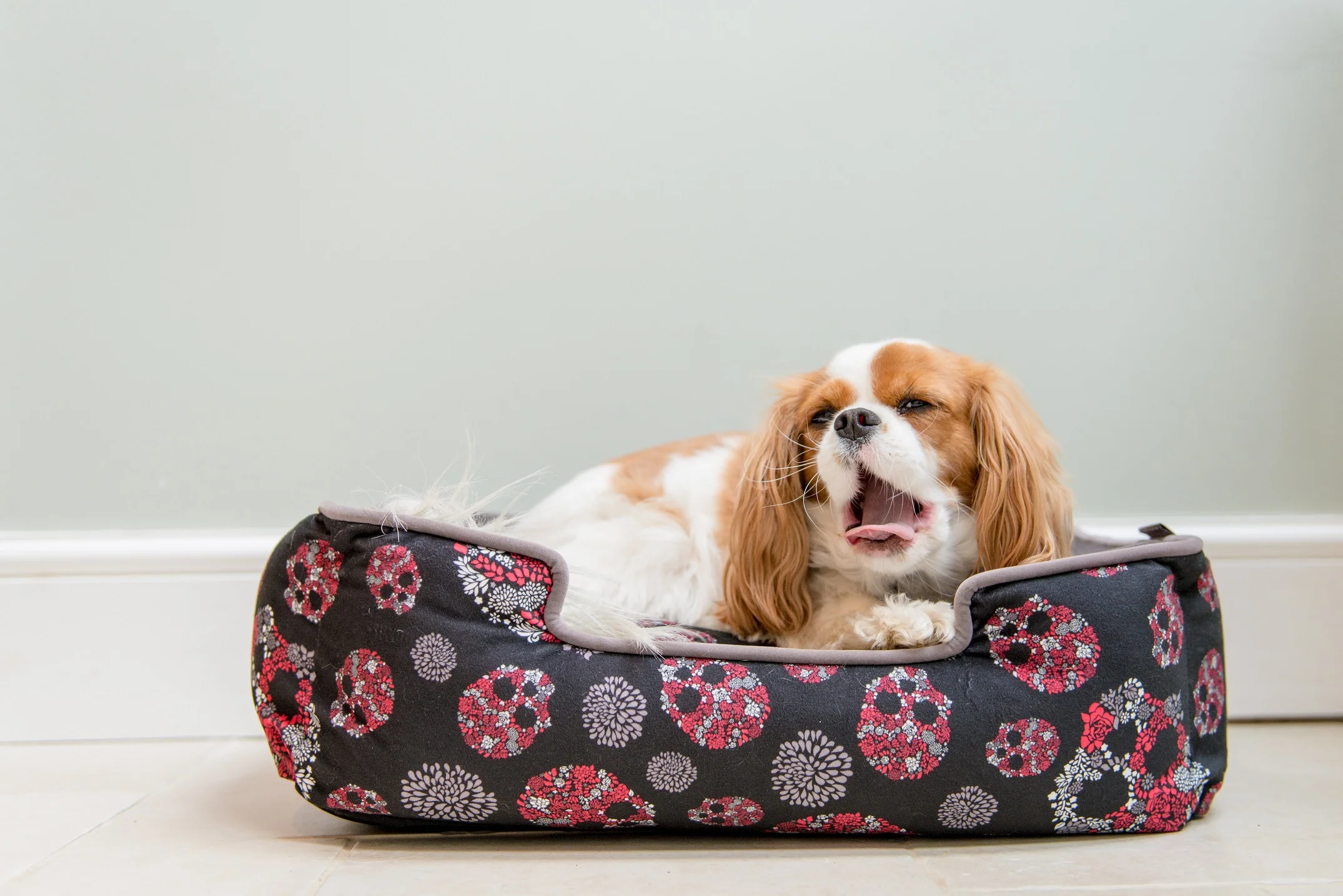 Skulls & Roses Lounge Bed - Image 4