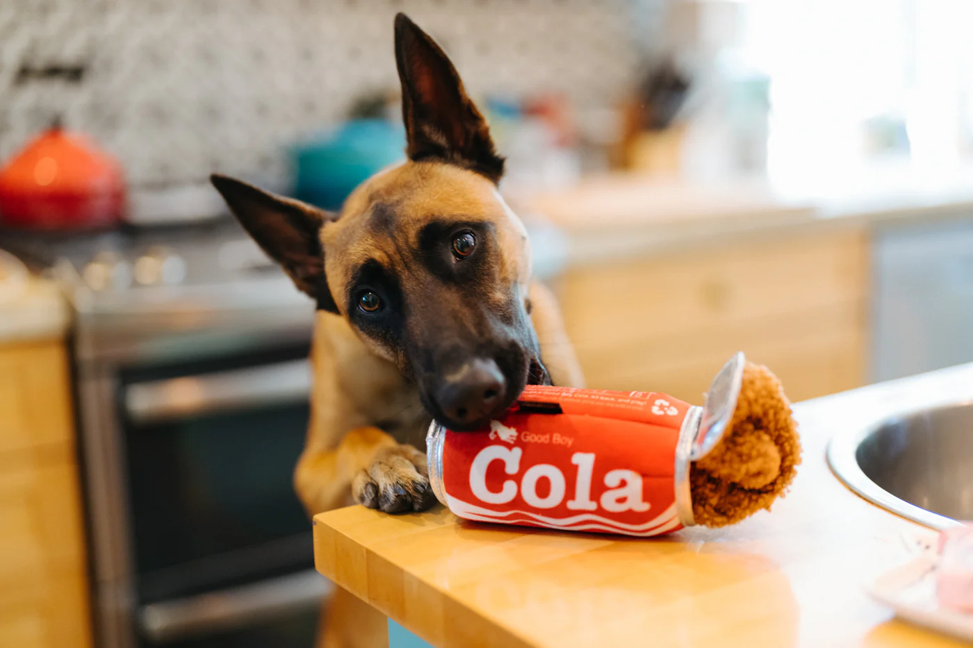 Snack Attack Collection - Image 10