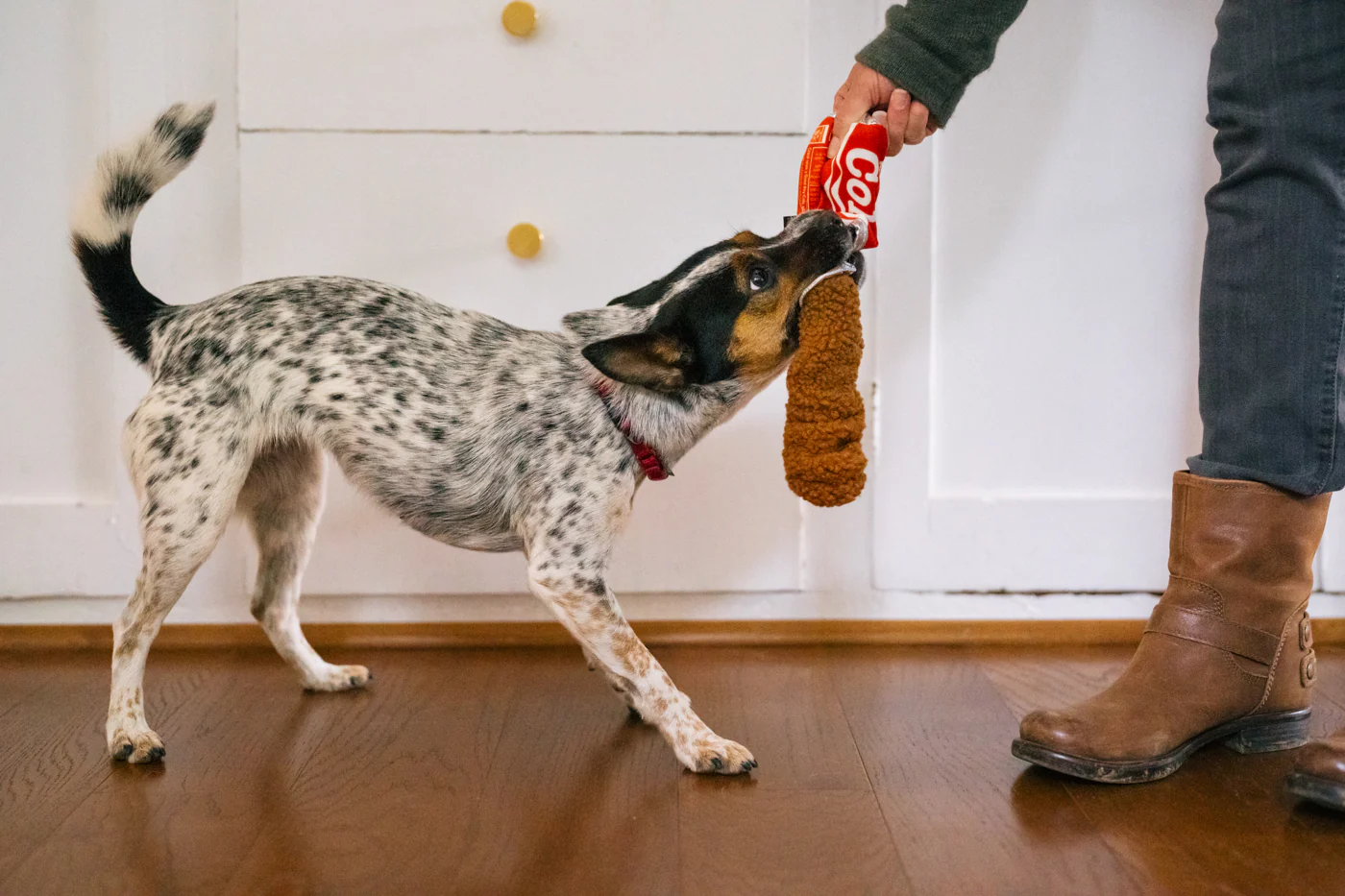 Snack Attack Good Boy Cola - Image 5