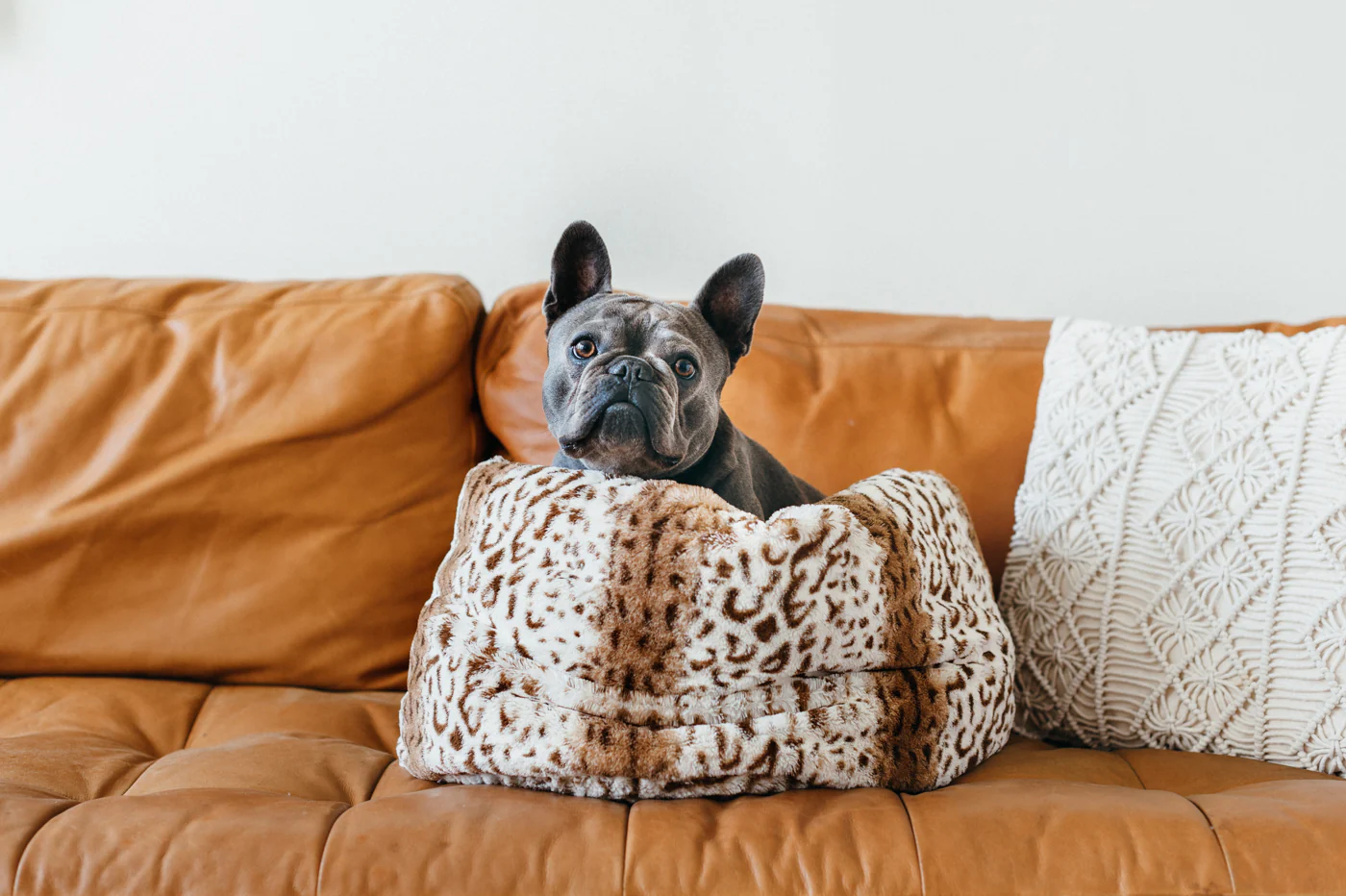 Snuggle Bed® - Image 12