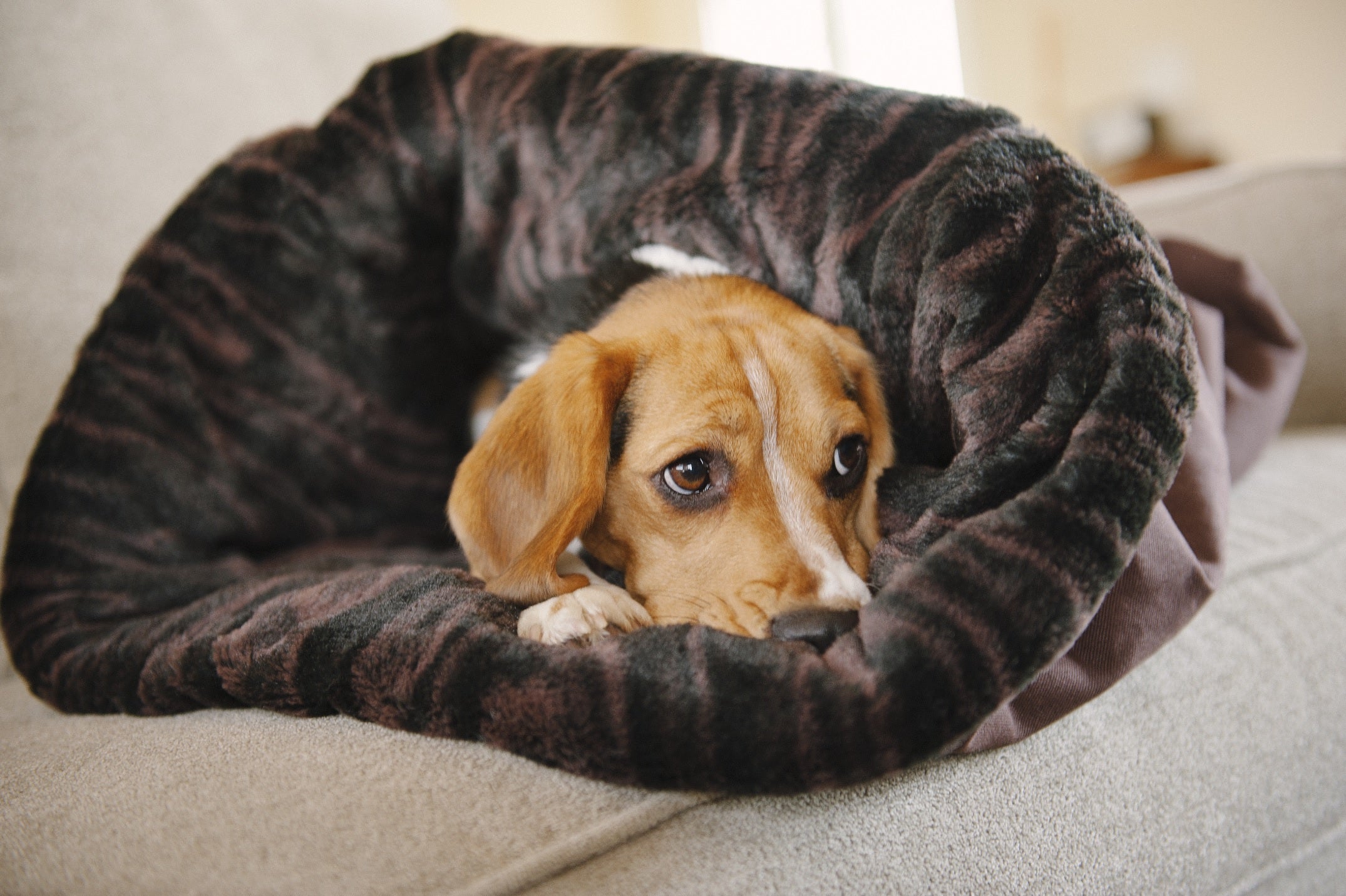 Snuggle Bed® - Image 6