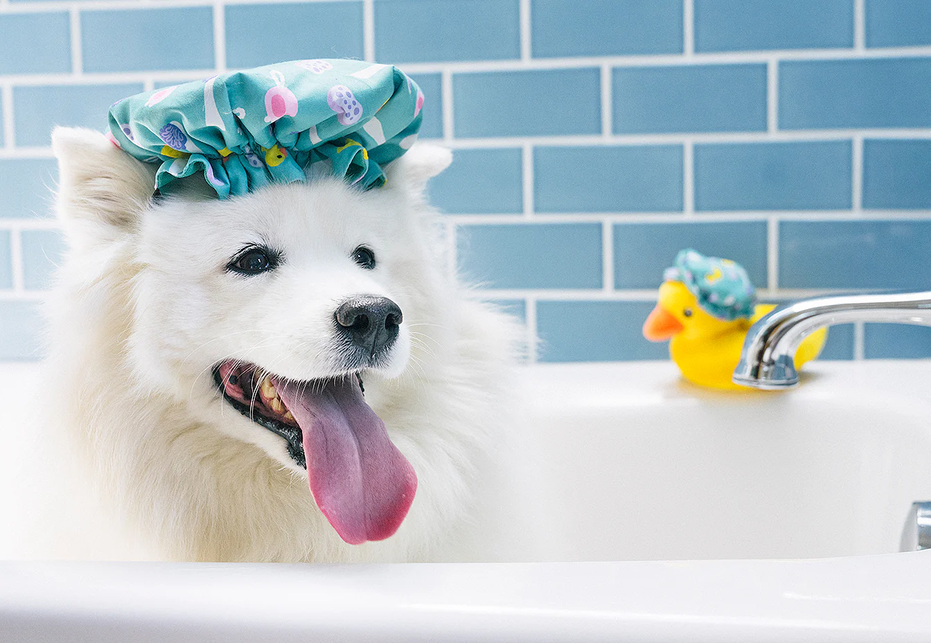 Splish Splash Collection - Image 19