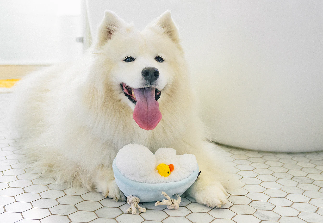 Splish Splash Collection - Image 4