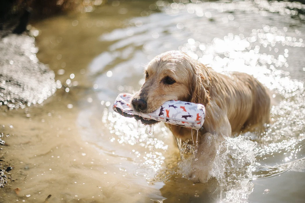 Toss & Float Toy - Image 9