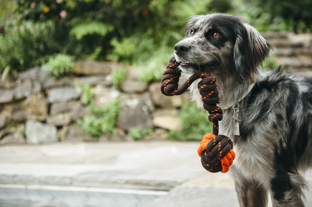 Tug Ball Rope Toy - Image 2