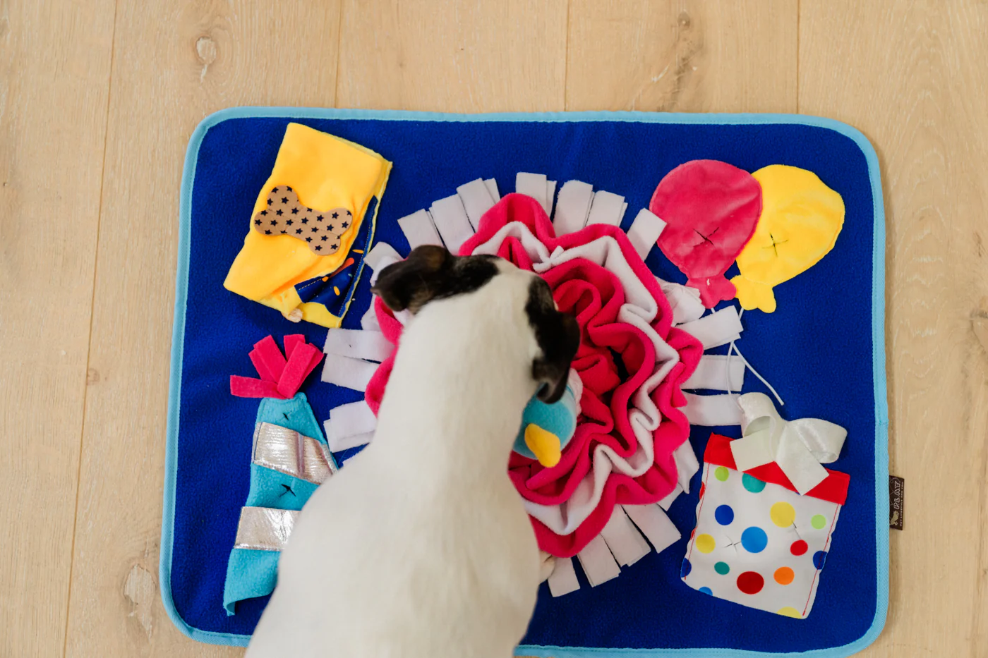 Woof-day Celebration Snuffle Mat - Image 5